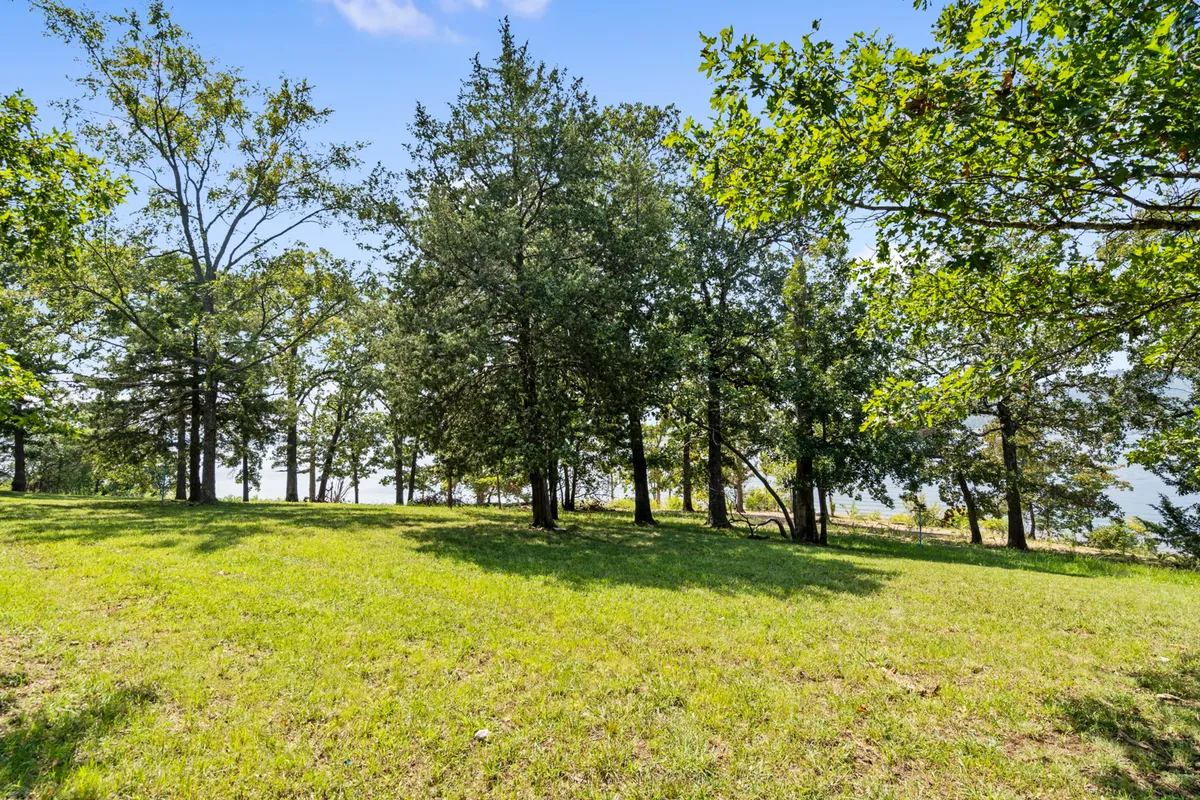 A serene stretch of lush green grass bordered by tall trees and offering a distant view of the water. The area evokes opportunities for leisurely strolls, picnics, or quiet time in nature with pets and family.